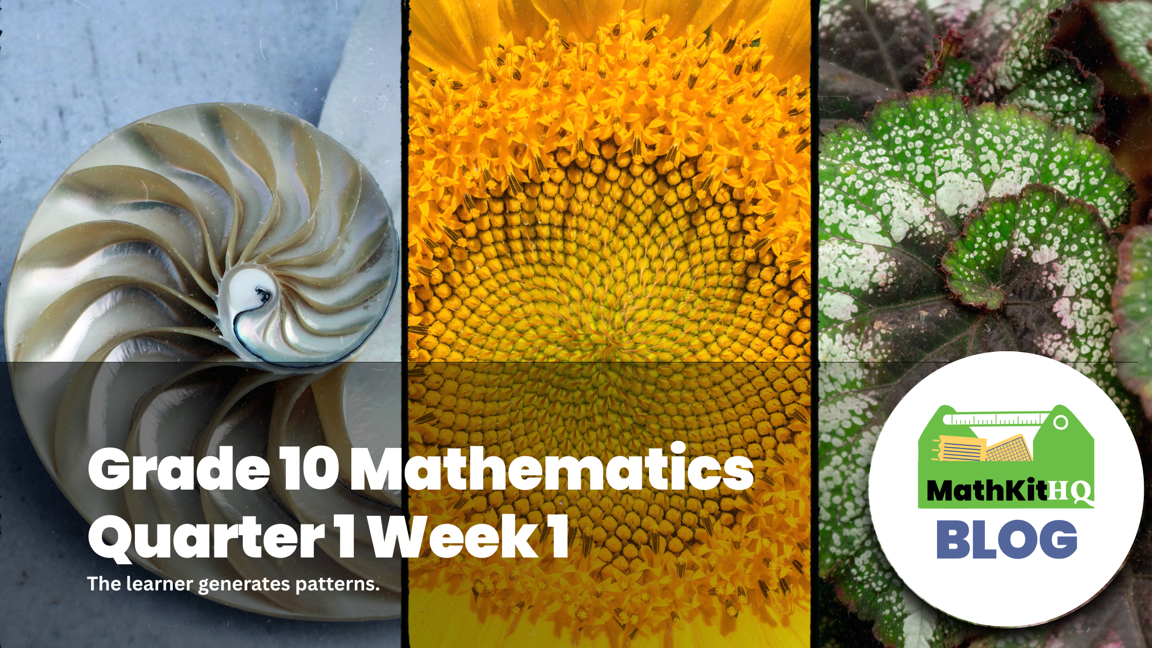mathkitHQ Blog Image Grade 10 math quarter 1 week 1